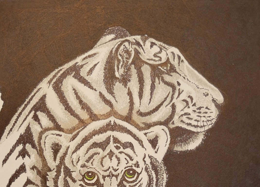 1000021108