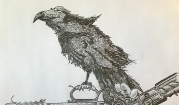 Drawing - Raven